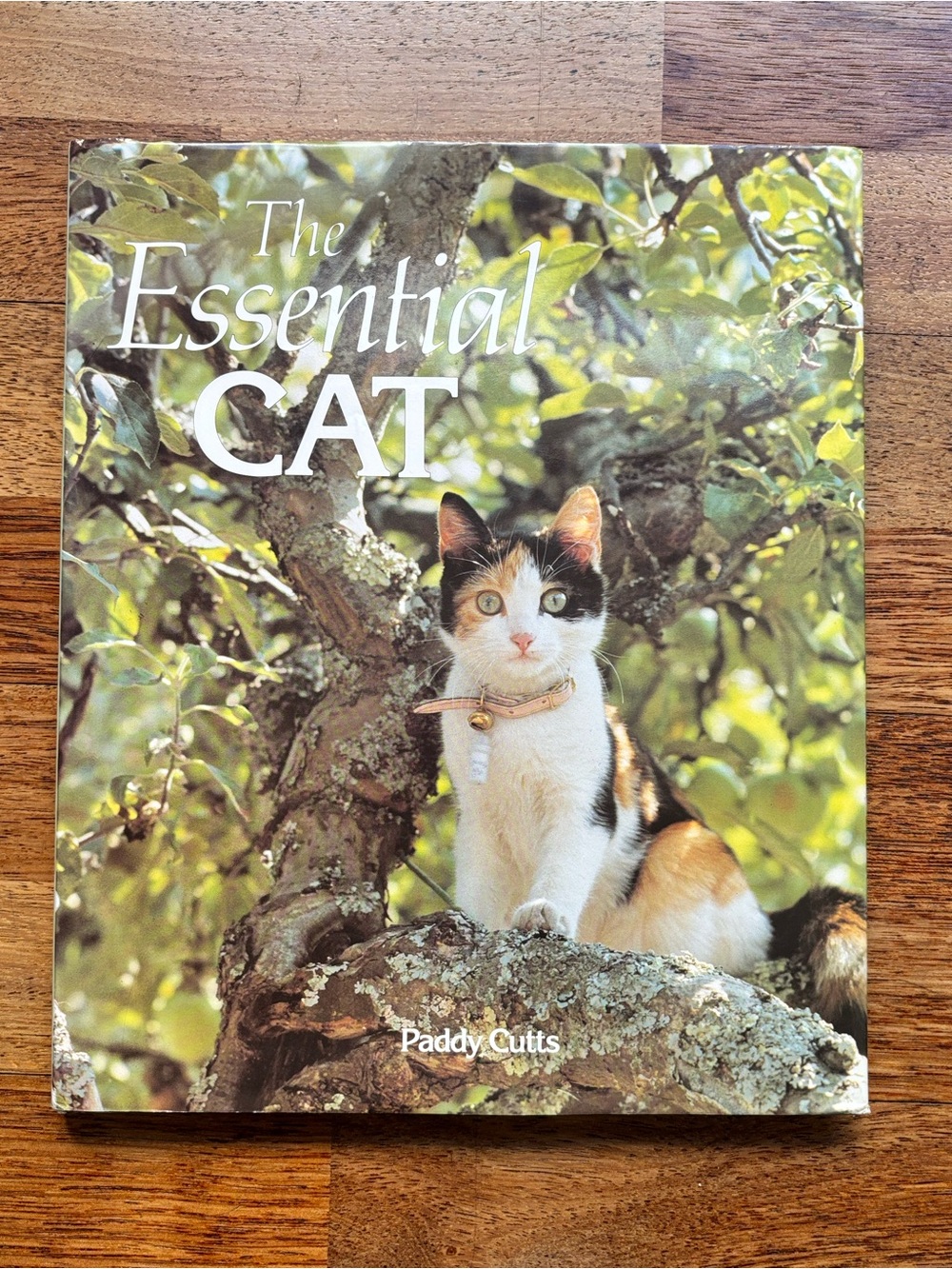 The Essential Cat by Paddy Cutts